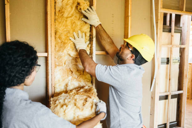 Best Insulation for Existing Homes  in USA